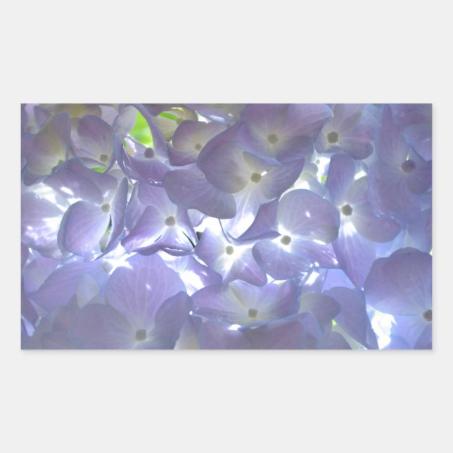 Sticker Rectangulaire Lavender Hydrangeas (Devant)
