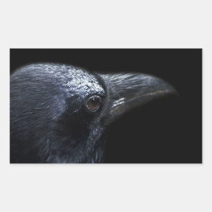 Sticker Rectangulaire Le Corbeau