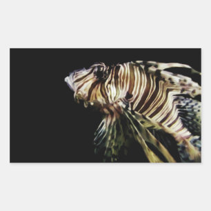 Sticker Rectangulaire Le poisson-Lion