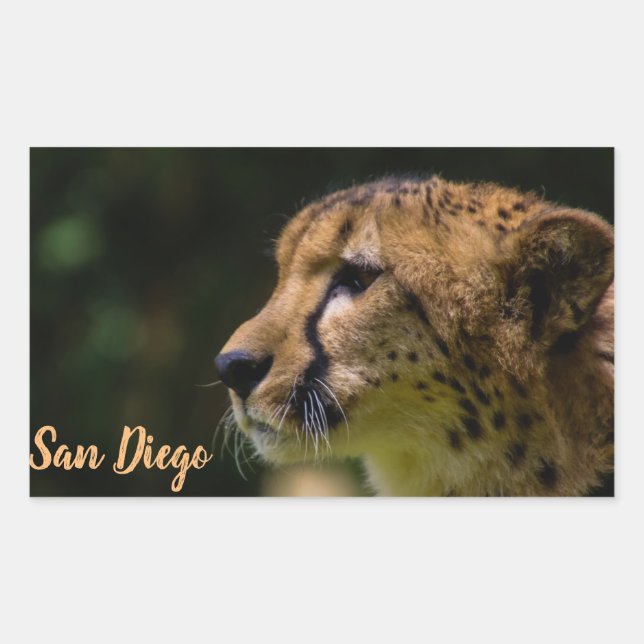 Sticker Rectangulaire Le zoo de San Diego (Devant)