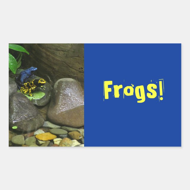 Sticker Rectangulaire Les amis de la grenouille (Devant)