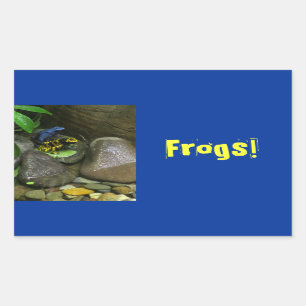 Sticker Rectangulaire Les amis de la grenouille