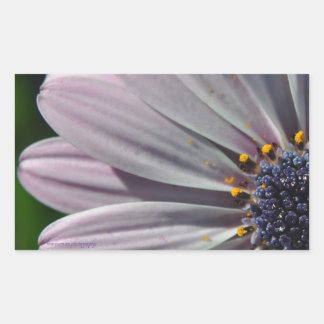 Sticker Rectangulaire Les fleurs à l'intérieur