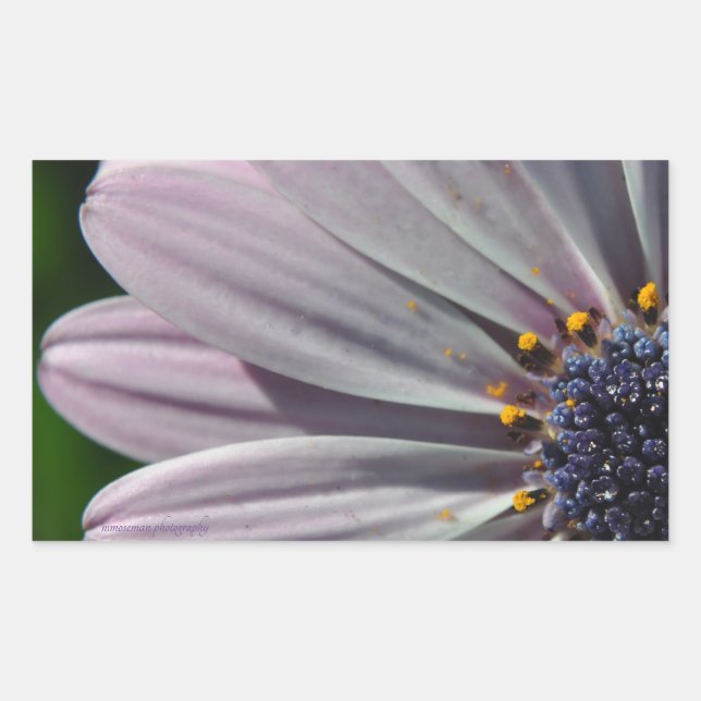 Sticker Rectangulaire Les fleurs à l'intérieur (Devant)