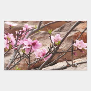 Sticker Rectangulaire Les fleurs du printemps sur les rochers de Sion