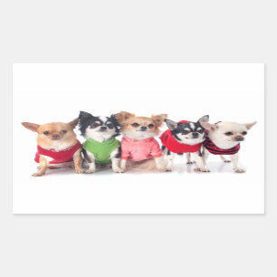 Sticker Rectangulaire Les mignons animaux