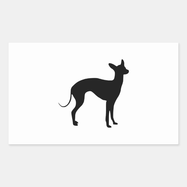 Sticker Rectangulaire Lévrier italien (Devant)