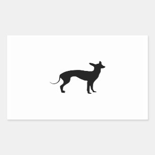 Sticker Rectangulaire Lévrier italien
