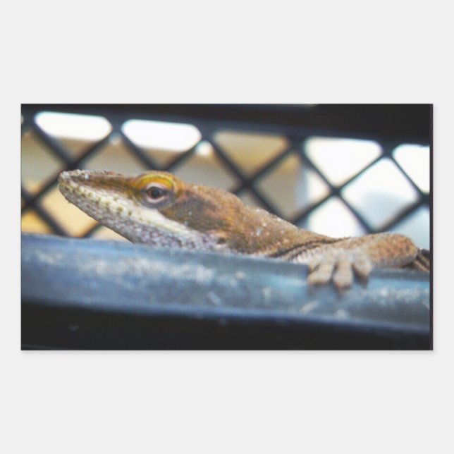Sticker Rectangulaire Lézard d'oignons vertes du soleil (Devant)