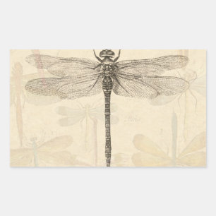 Sticker Rectangulaire Libellule Vintage Antique Classique Nature