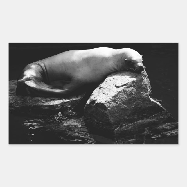 Sticker Rectangulaire Lion de mer dormant .1781 (Devant)