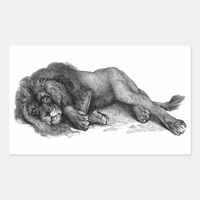 Sticker Rectangulaire Lion en mode vectoriel (Devant)