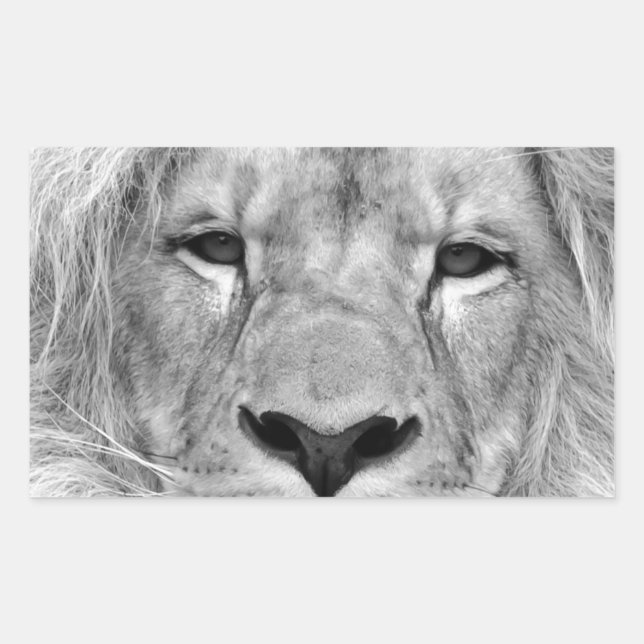 Sticker Rectangulaire Lion noir et blanc (Devant)