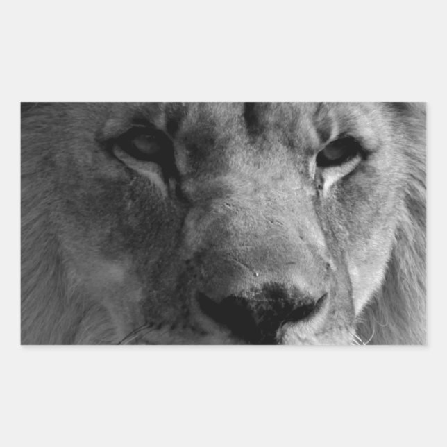 Sticker Rectangulaire Lion noir et blanc (Devant)