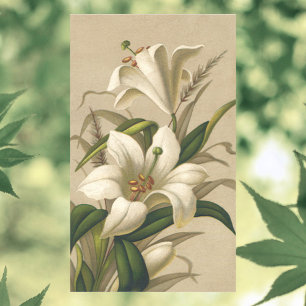 Sticker Rectangulaire Lis de Pâques vintage, fleurs victoriennes en fleu