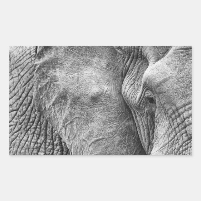Sticker Rectangulaire L'oeil d'un éléphant (Devant)