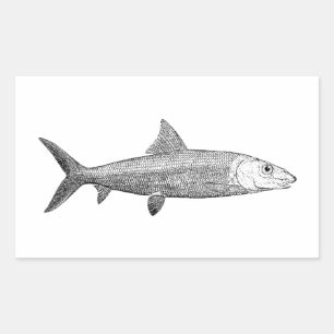 Sticker Rectangulaire Logo Bonefish