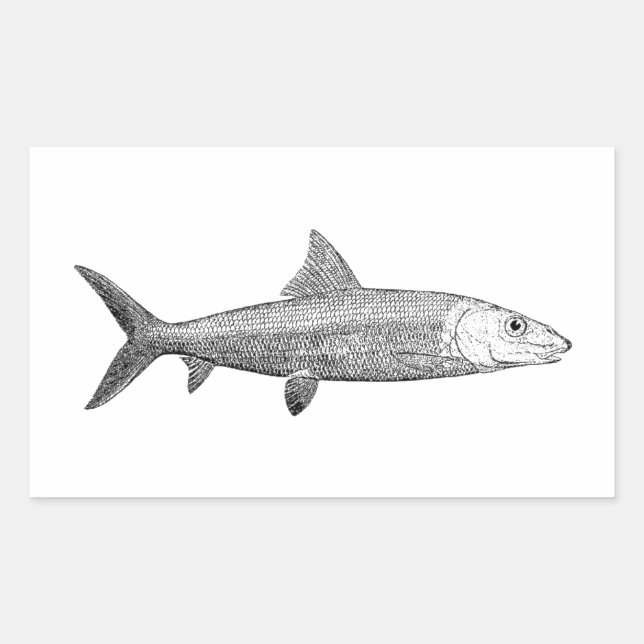 Sticker Rectangulaire Logo Bonefish (Devant)