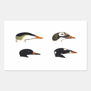 Sticker Rectangulaire Logo de canards de mer