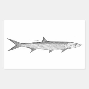 Sticker Rectangulaire Logo de tarpon (schéma)