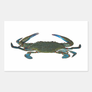 Sticker Rectangulaire Logo du crabe bleu de l'Atlantique
