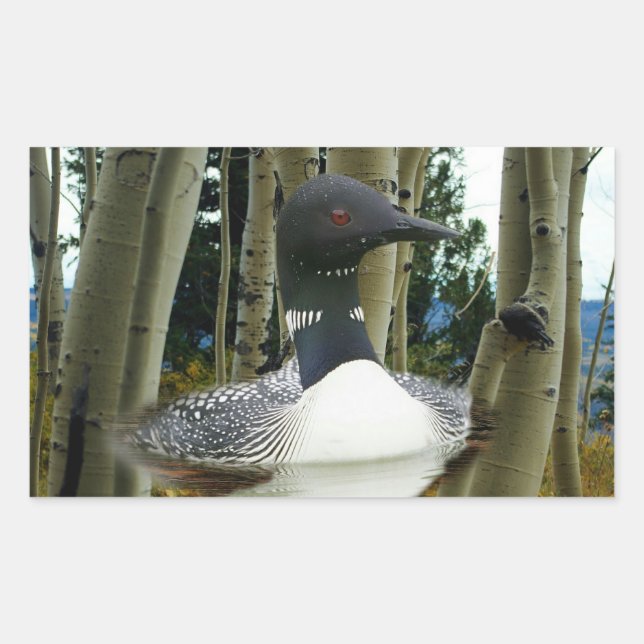 Sticker Rectangulaire Loon sauvage (Devant)