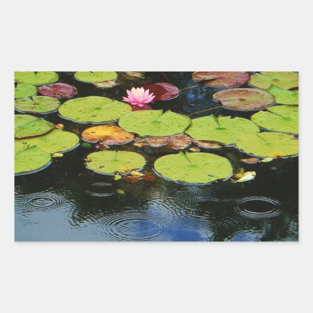 Sticker Rectangulaire Lotus rose en pluie (Devant)