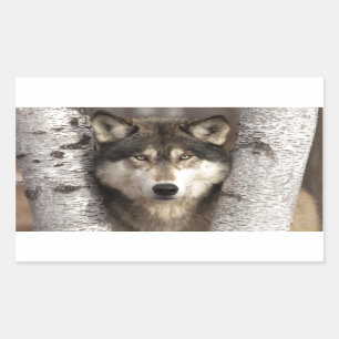 Sticker Rectangulaire Loup de bois de construction par JIM Zuckerman