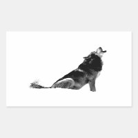 Loup de Howling blanc noir