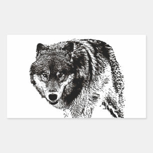 Sticker Rectangulaire Loup sauvage