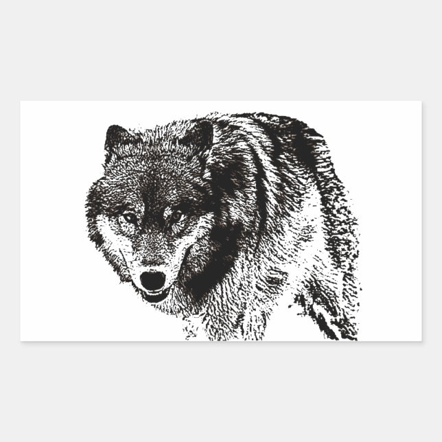 Sticker Rectangulaire Loup sauvage (Devant)