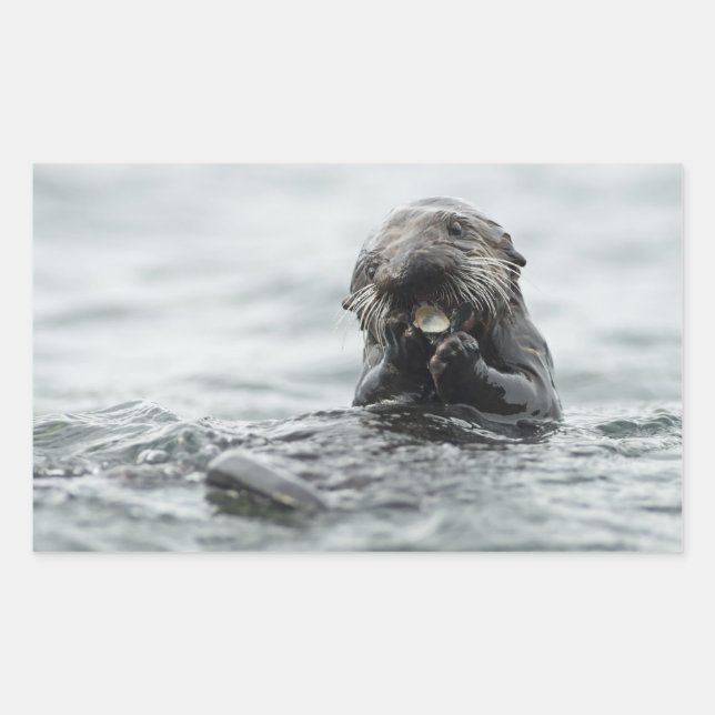Sticker Rectangulaire Loupe de mer adorable (Devant)