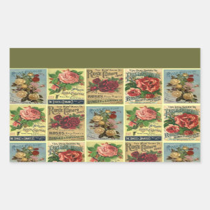 Sticker Rectangulaire Lovely Antique Heirloom Rose Catalogues Fleurs