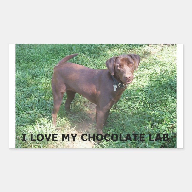 Sticker Rectangulaire LR chocolat amour de laboratoire avec l'image (Devant)