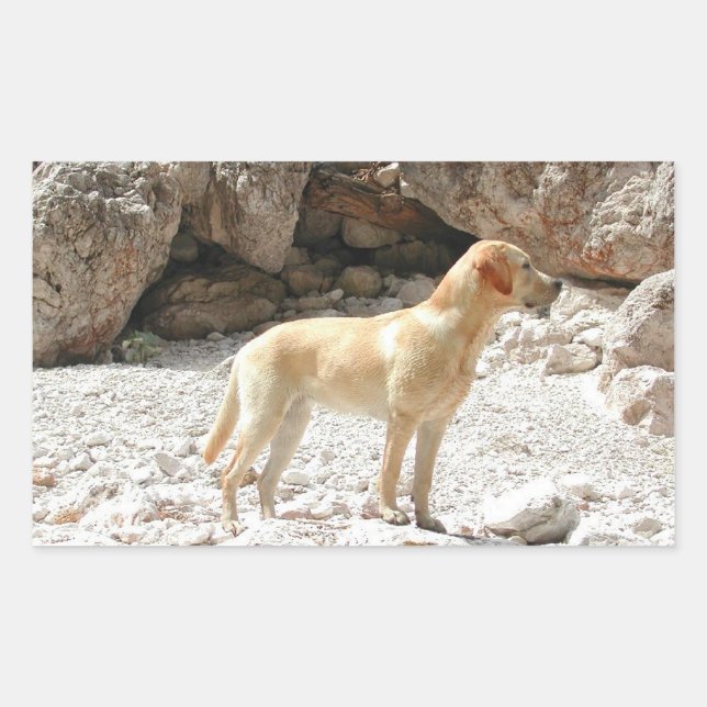 Sticker Rectangulaire LR jaune plein (Devant)