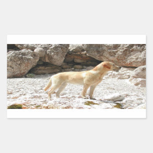 Sticker Rectangulaire LR jaune plein