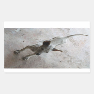 Sticker Rectangulaire Luk Maa ... Chien chiot thaïlandais Soi