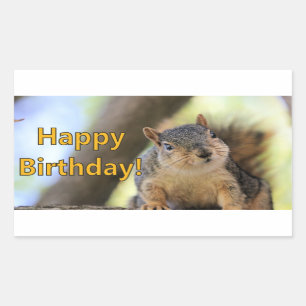 Sticker Rectangulaire M. Squirrel souhaite un joyeux anniversaire