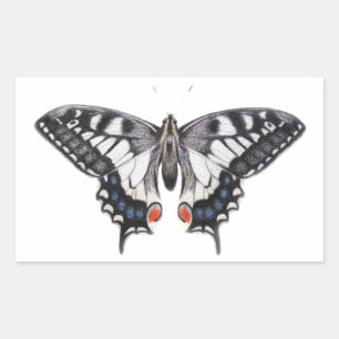 Sticker Rectangulaire Machaon 2012