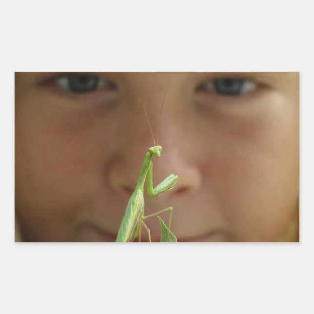 Sticker Rectangulaire Mantis religiosa (Devant)