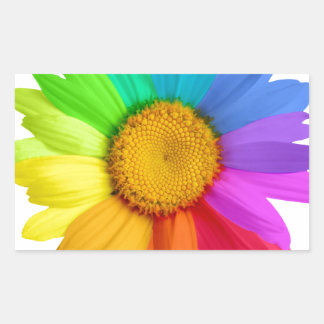 Sticker Rectangulaire Marguerite d'arc-en-ciel