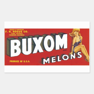 Sticker Rectangulaire Mellons Buxom