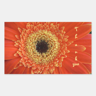 Sticker Rectangulaire merci
