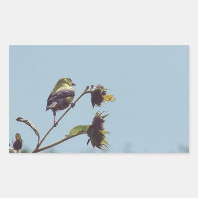 Sticker Rectangulaire Mes amis les petits visiteurs. #oiseau #nature #fa (Devant)