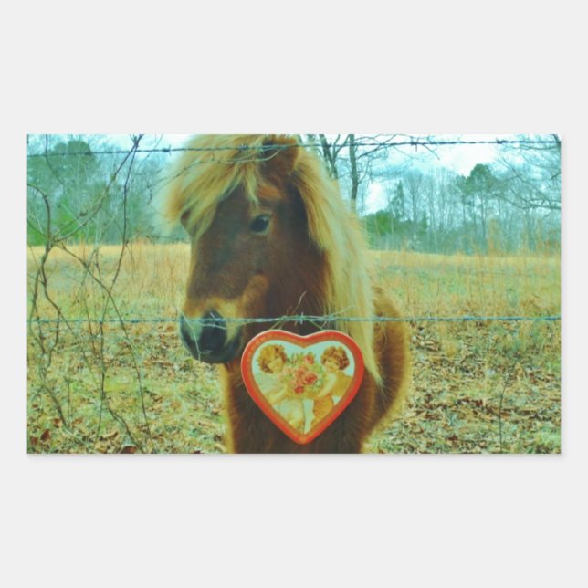 Sticker Rectangulaire Miniature cheval Brown Valentine Heart (Devant)