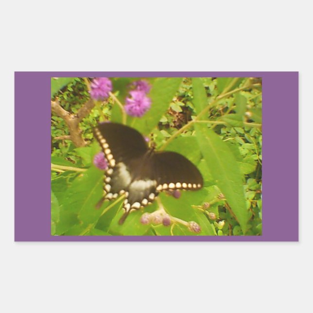 Sticker Rectangulaire Monarque noir enveloppé de violet (Devant)