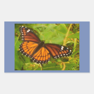 Sticker Rectangulaire Monarque orange