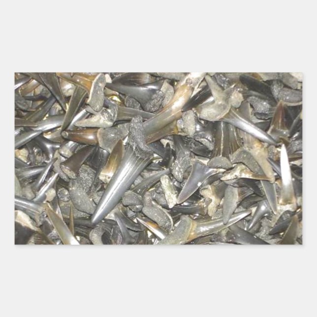 Sticker Rectangulaire Motif de dents de requin fossile (Devant)