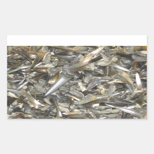 Sticker Rectangulaire Motif de dents de requin fossile