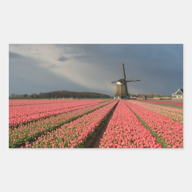 Sticker Rectangulaire Moulin à vent avec tulipes roses au printemps (Devant)